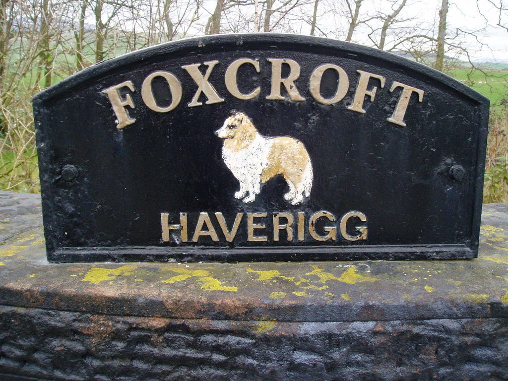Foxcroft Bed & Breakfast Millom Dış mekan fotoğraf